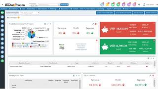BizAutomation video