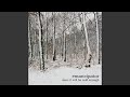 Lionheart by Emancipator