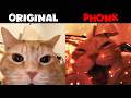 Cat Laughing Meme Original Vs Phonk