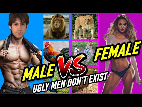 Male Species Reign Supreme in the Animal and Human World. Default Emotional State Part 2