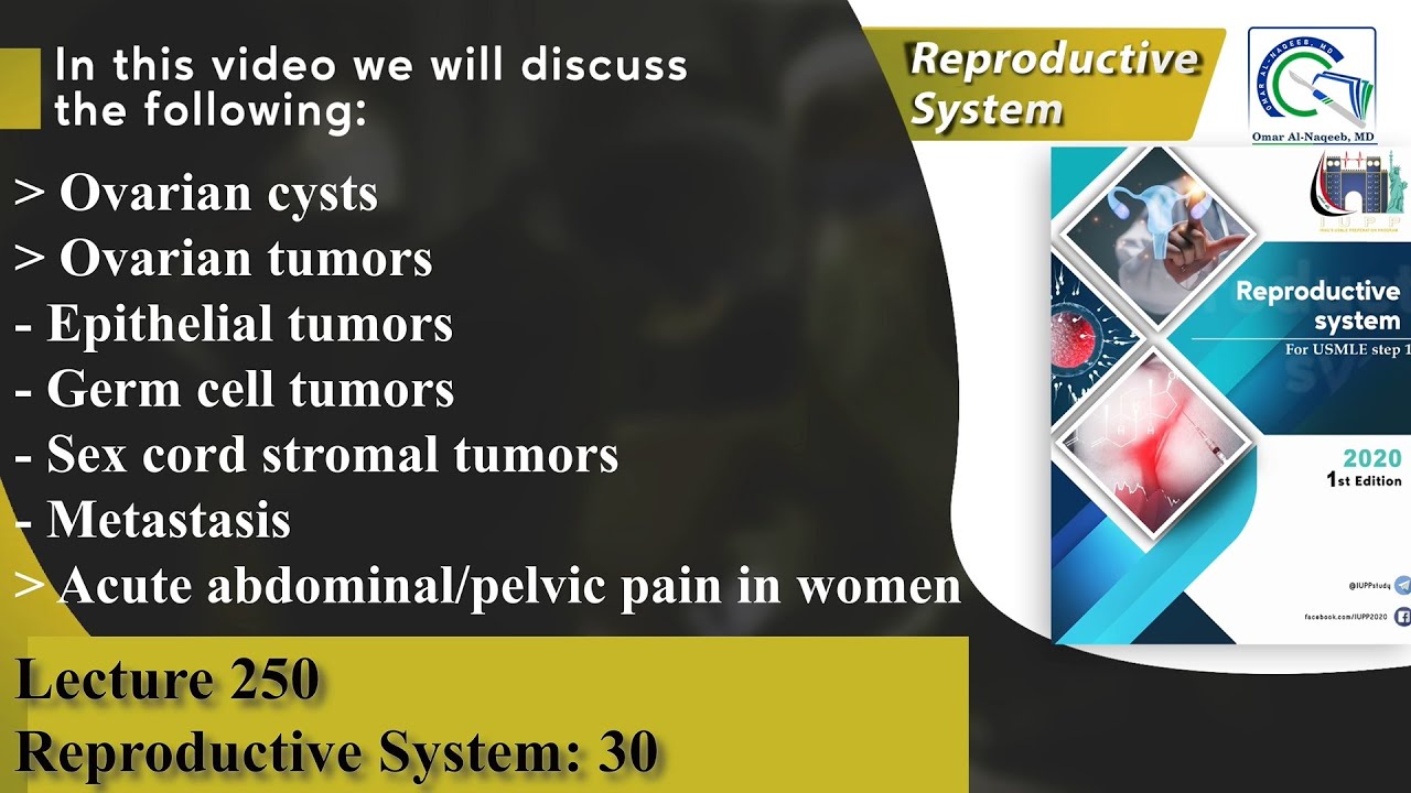 Ovarian cysts | Ovarian tumors | cystadenoma | Brenner tumor | Dysgerminoma | Krukenberg tumor