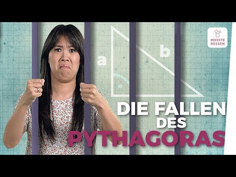 The Pythagorean theorem I (you need to know math)