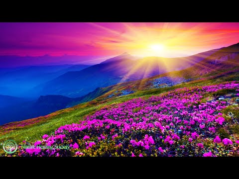 THE BEST GOOD MORNING MUSIC 💖 528HZ Increase Positive Energy - Healing Meditation Yoga Focus Music