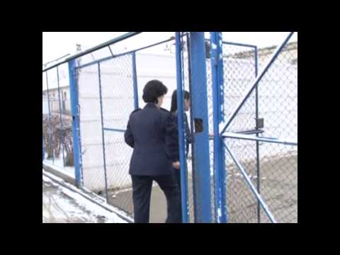 jurnal 08 01 2014 detinuti penitenciar   mihaela ivascu