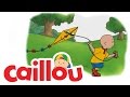 Caillou Caillou And The Tooth Fairy S02E13 Cartoon For Kids