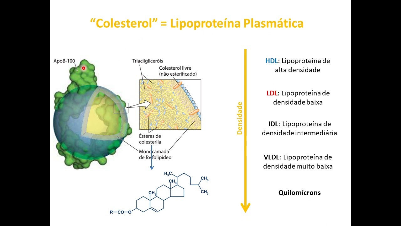 lipoproteínas plasmáticas