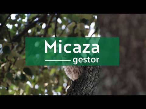 Micaza Gestor