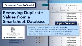 Smartsheet Formulas Tutorial | Removing Duplicate Values from a Smartsheet Database