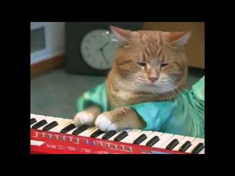 Adamstan84 - Playing italo disco live with Solton Ketron Programmer 24 and some other synths