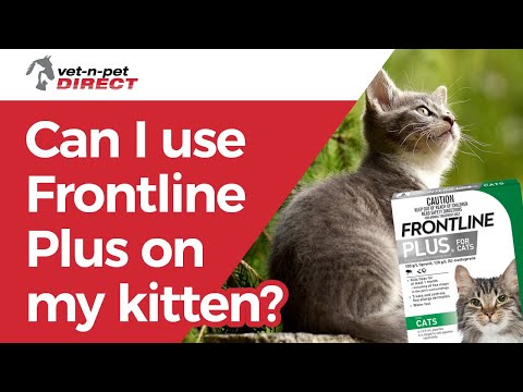 Can I use Frontline Plus on my kitten?