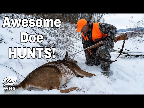 #1 Doe Hunting Strategy Hunts