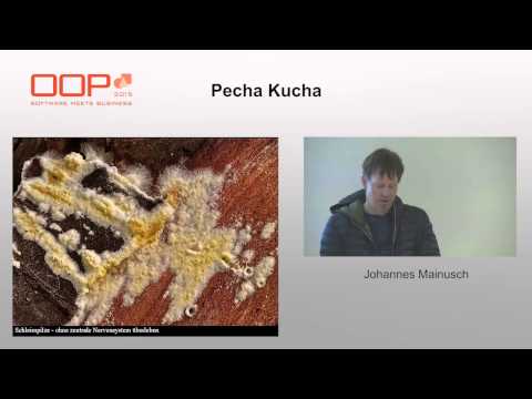 Pecha Kucha @ OOP 2015 "Von Zellen lernen: Von Stablinienorganisationen zu autonomen Teams"