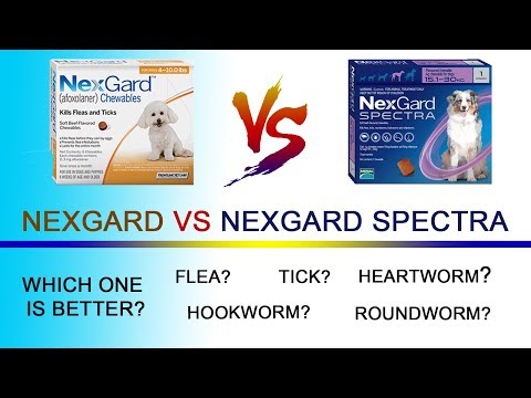 Nexgard spectra adagolás, PrimaVet Kisállat-rendelőintézet