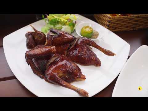 ĐẾN VỚI NHÀ HÀNG NGUYÊN SINH BISTRO, ĂN ĐÚNG NƠI - NGON ĐÚNG ĐIỆU | Địa điểm ăn uống