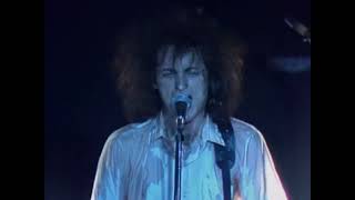 Hoodoo Gurus - Arthur (1984 Live)