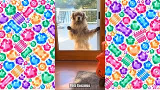 ちょっとひと休み！面白い動物たちと過ごす癒しの時間