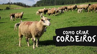 Miniatura do vídeo