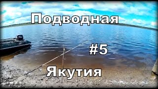 Ссылка
