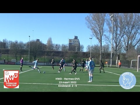 Samenvatting HWD - Hermes-DVS
