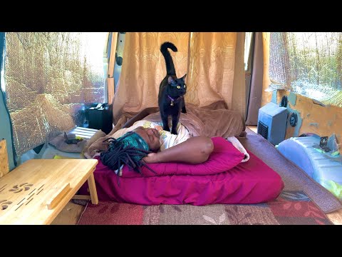 Van life Camping with A Cat