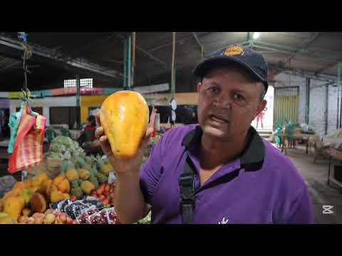Rebajaton en la galería municipal de el Pital Huila Colombia 