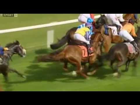 Pferdesportmagazin Horsepower 15.7.2012