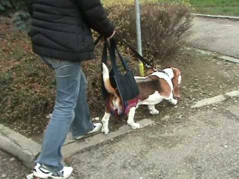 Matýsek 10dní po operaci