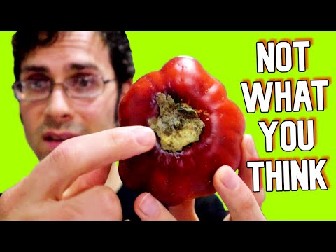 COCONA FRUIT: This Cousin to Tomatoes is Sour but Delicious - Weird Fruit Explorer