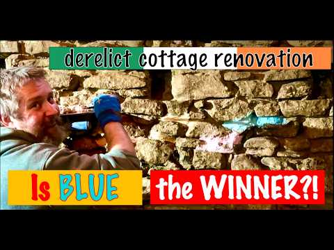 BLUE pointing at our 200 year old Derelict Irish Cottage Homestead