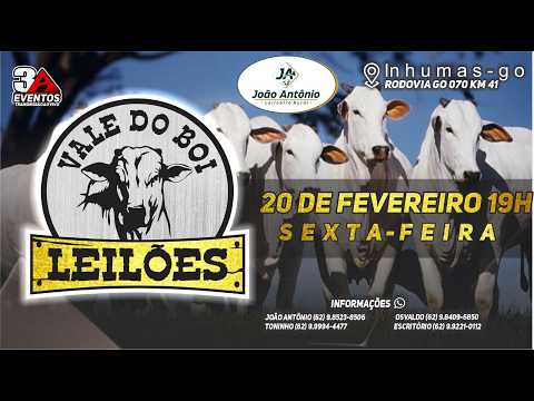 VALE DO BOI LEILOES - INHUMAS GO  - LEILAO VIRTUAL E PRESENCIAL -  20 DE  FEVEREIRO 2026