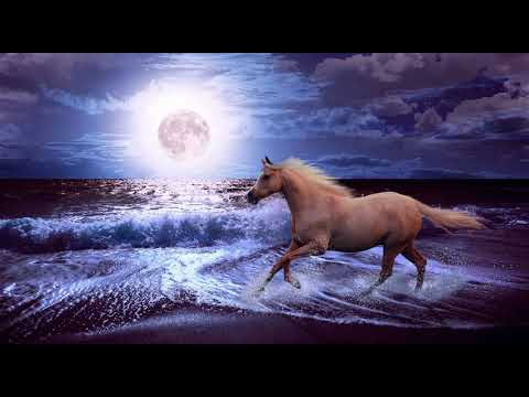 Sergey von Wysocki - Magic Moon (Original Version)