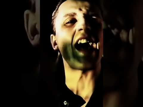 DVA ROKY PRÁZDNIN Robo Grigorov & Midi 1986-2026 (reel)