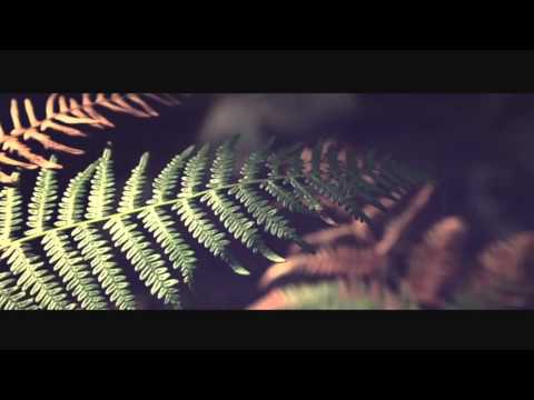 Waterfall - Thomas Hayes