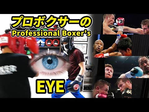 RIZIN キック 格闘技 どこを見ている？プロボクサーの目 | ボクシング tomitt トミット