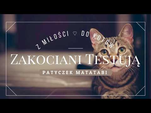 PATYCZEK MATATABI | Matatabi Sticks ♡ Zakociani Testują ♡