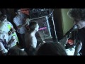 Video Hippos @ THC 200?