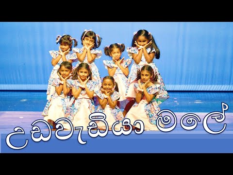 Houston Sri Lankan Show - Kala Ranga (කලා රංග) 2023 - Udawadiya Male Dance (උඩවැඩියා මලේ) - අපි වාගේ
