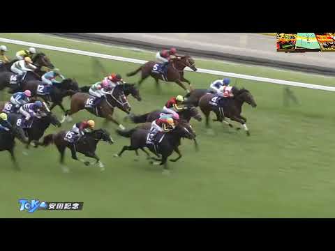 일본 도쿄경마장 야스다기념(G1) 송라인(Songline) 브리더스컵 출전권