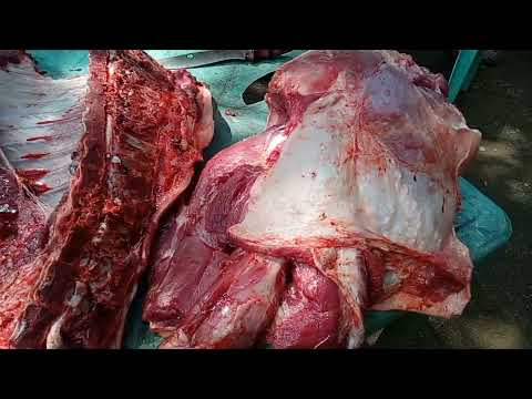 PREPAIRATION OF ( UNICE  RHINE LAJON 1st, BIRTH DAY 10/02/2024,,,