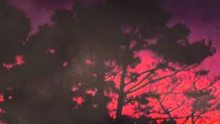 Kathleen Ferrier: Kindertotenlieder [Bruno Walter] by Mahler