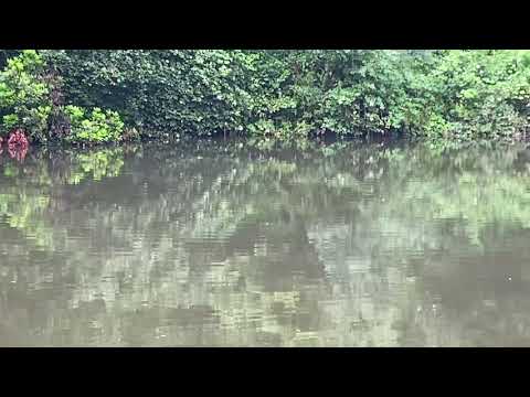 Low stocked carp pit..found them bubbling up!