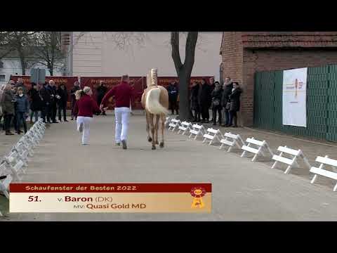 51 --- Baron (DK)/Quasi Gold MD - Longe