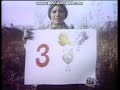 Classic Sesame Street Woman Five Chickens 1975