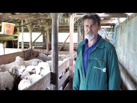 Naša priča ep. 355 16.06.2022. Duško Šalipurević, Ristijevići, ovčarstvo, il d frans