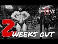 2 weeks out - The Mr Olympia update