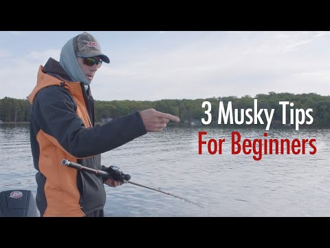 3 Musky Tips for Beginners - explained by pro angler Pete Maina