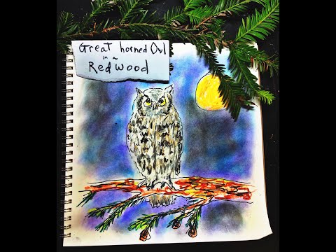 How to Draw a Great Horned Owl