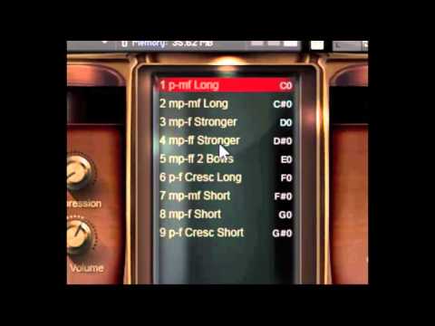 8Dio Adagio Violas Ensemble Sordino Dynamic Bowings