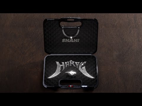 Sajad Shahi - Harpy (Official Music Video)