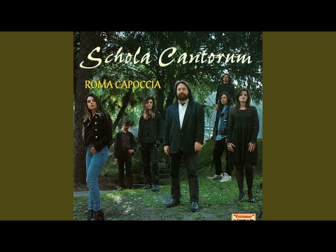 IL MIO AMORE (Fusco - Cheli)